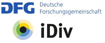 DFG Deutsche Forschungsgemeinschaft