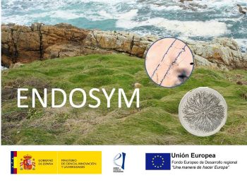 endosym