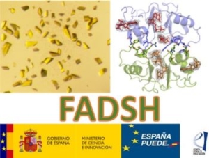 Proyecto FADSH. Logotipos del Gobierno de España, Ministerio de Ciencia e Innovación. España Puede.