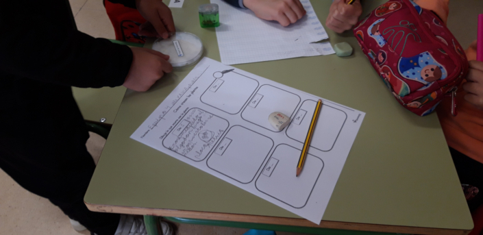 Poniendo las semillas a germinar y rellenando el diario de trabajo