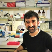 GONZÁLEZ MIGUEL, JAVIER