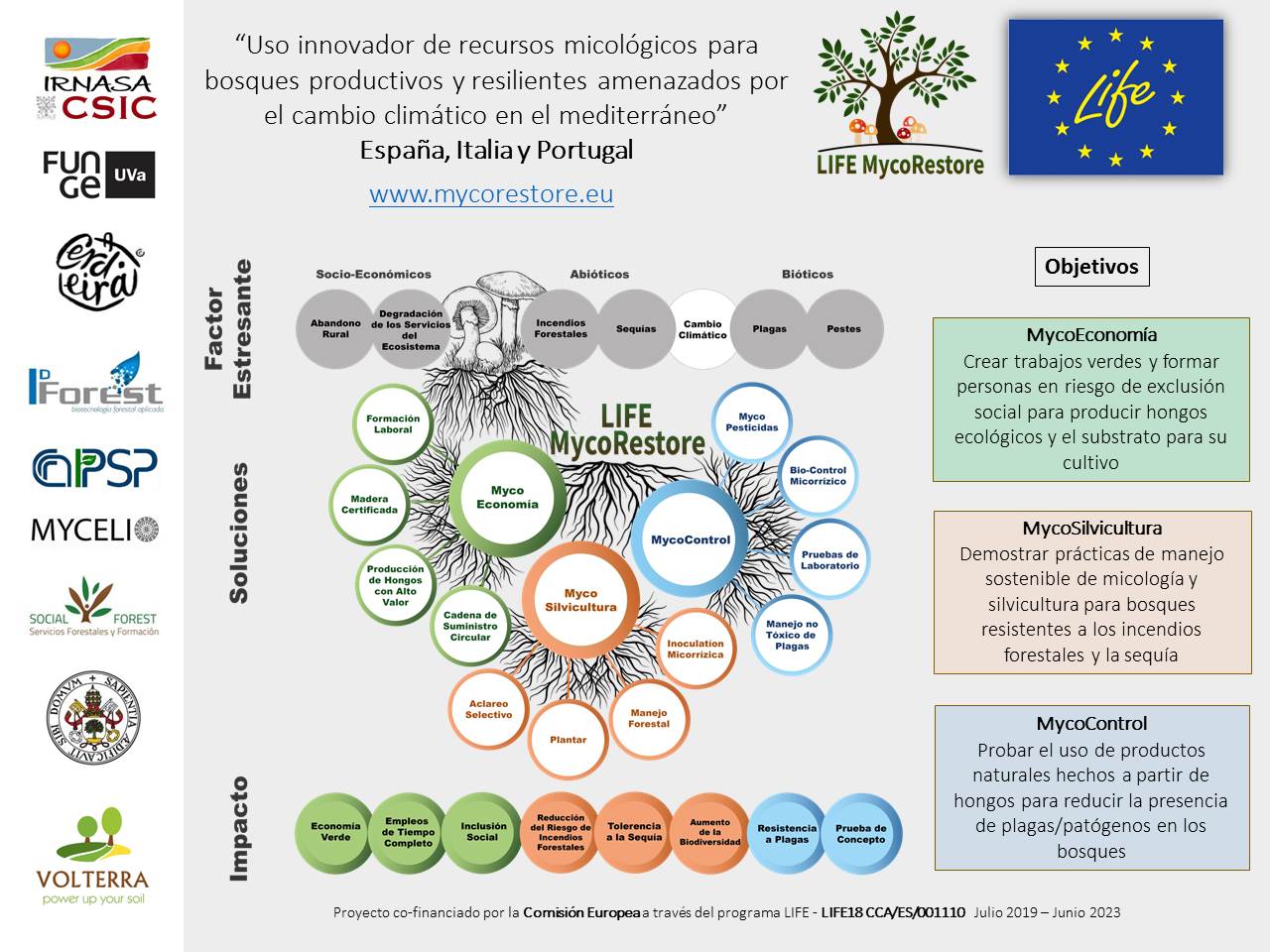 Esquema ilustrativo del proyecto LIFE MycoRestore. Uso innovador de recursos micológicos para bosques productivos y resilientes amenazados por el cambio climático en el mediterráneo.