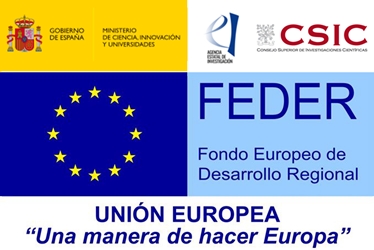 FEDER. Fondo Europeo de Desarrollo Regional. Unión Europea "Una manera de hacer Europa". CSIC. Ministerio de Ciencia, Innovación y Universidades. Gobierno de España