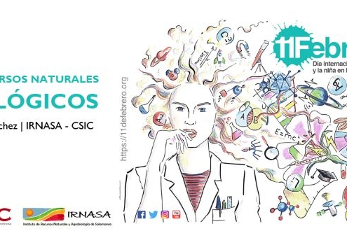 11 Febrero. Los recursos naturales geológicos. María G. Sánchez. IRNASA-CSIC