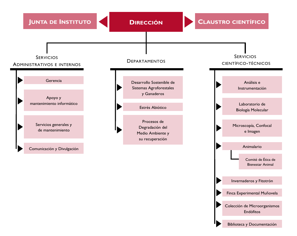 Esquema de la estructura administrativa del IRNASA. Junta de Instituto - Dirección - Claustro Científico. DIRECCIÓN: Servicios administrativos e internos: Gerencia; Apoyo y mantenimiento informático; Servicios generales y de mantenimiento; Comunicación y Divulgación. DEPARTAMENTOS: Desarrollo de Sistemas Agroforestales y Ganaderos; Estrés Abiótico; Procesos de Degradación del Medio Ambiente y su recuperación. SERVICIOS CIENTÍFICO-TÉCNICOS: Análisis e instrumentación, Laboratorio de Biología Molecular; Microscopía, confocal e imagen; Animalario, Comité de ética de Bienestar Animal; Invernaderos y Fitotrón; Finca Experimental Muñovela; Colección de Microorganismos Endófitos; Biblioteca y Documentación