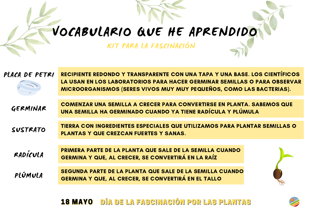 Vocabulario que he aprendido. Placa de Petri: recipiente redondo y transparente con tapa y una base. Los científicos los usan en los laboratorios para hacer germinar semillas o para observar microorganismos (srees vivos muy pequeños, como las bacterias). Germinar: comenzar una semilla a crecer para convertirse en planta. Sabemos que una semilla ha germinado cuando ya tiene radícula y plúmula. Sustrato: tierra con ingredientes especiales que utilizamos para plantar semillas o plantas y que crezcan fuertes y sanas. Radícula: primera parte de la planta que sale de la semilla cuando germina y que, al crecer, se convertirá en la raíz. Plúmula: segunda parte de la planta que sale de la semilla cuando germina y que, al crecer, se convertirá en el tallo.