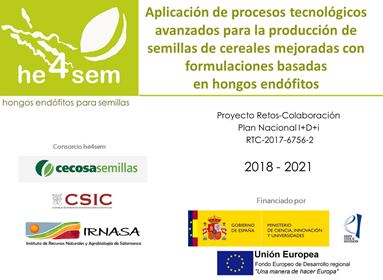 he4sem. Aplicación de procesos tecnológicos avanzados para la producción de semillas de cereales mejoradas con formulaciones basadas en hongos endófitos