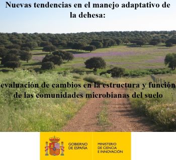 Nuevas tendencias en el manejo adaptativo de la dehesa: evaluación de cambios en la estructura y función de las comunidades microbianas del suelo.