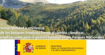 Vulnerabilidad y resiliencia de los bosques maduros frente al cambio climático: implicaciones para la gestión forestal en los Parques Nacionales
