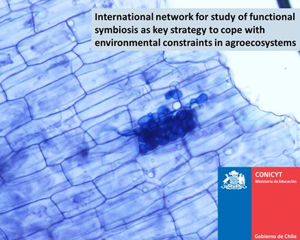 International network for study of functional symbiosis as key strategy to cope with environmental constraints in agroecosystems