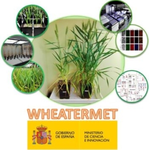 WHEATERMET