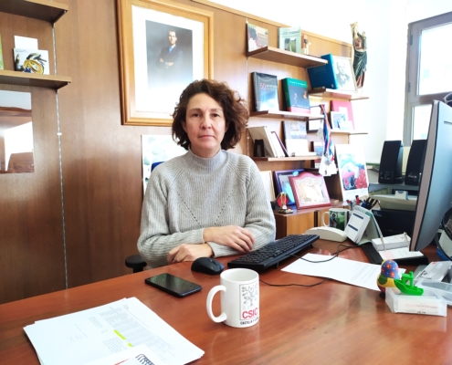 Mar Siles, delegada institucional del CSIC en Castilla y León y Directora del IRNASA.