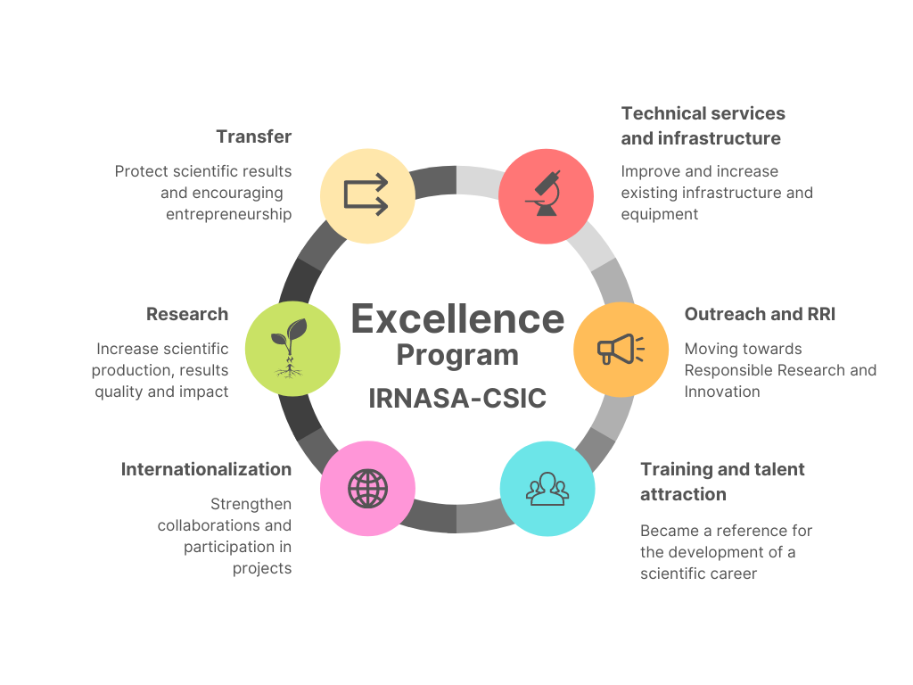 Ejes del Programa de Exclencia IRNASA-CSIC: Transferencia: promover los resultados de la investigación y promover el emprendimiento; Investigación: incrementar la producción científica, su calidad e impacto; Internacionalización: fortalecer las colaboraciones y la participación en proyectos; Servicios técnicos e infraestructuras: mejorar y ampliar las infraestructuras y equipamientos; Comunicación y RRI: avanzar hacia una Investigación e Innovación Responsables; Formación y atracción de talento: ser un centro referente para el desarrollo de la carrera científica