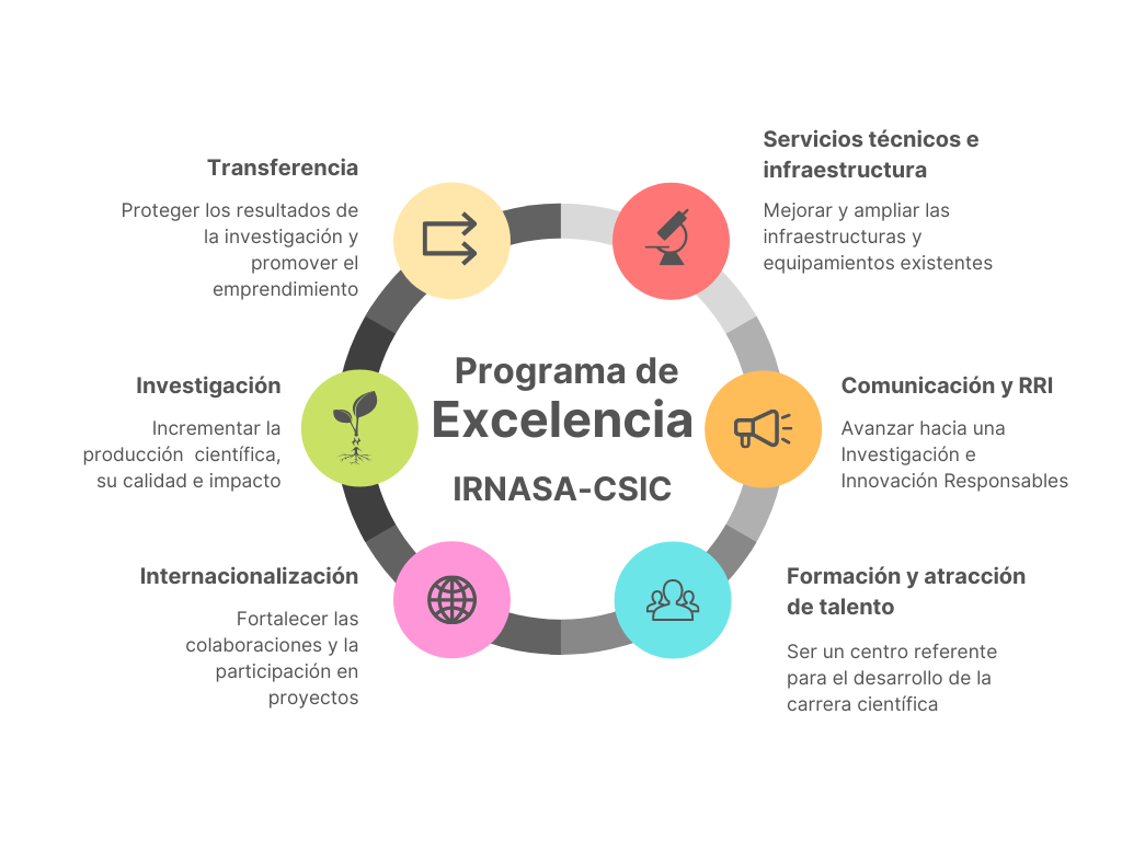 Ejes del Programa de Exclencia IRNASA-CSIC: Transferencia: promover los resultados de la investigación y promover el emprendimiento; Investigación: incrementar la producción científica, su calidad e impacto; Internacionalización: fortalecer las colaboraciones y la participación en proyectos; Servicios técnicos e infraestructuras: mejorar y ampliar las infraestructuras y equipamientos; Comunicación y RRI: avanzar hacia una Investigación e Innovación Responsables; Formación y atracción de talento: ser un centro referente para el desarrollo de la carrera científica