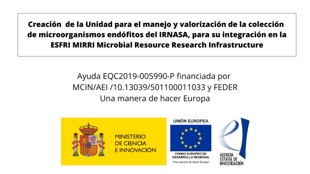 Creación de la Unidad para el manejo y valorización de la colección de microorganismos endófitos del IRNASA, para su integración en la ESFRI MIRRI Microbial Resource Research Infrastructure. Ayuda EQC2019-005990-P financiada por MCIN/AEI /10.13039/501100011033 y FEDER Una manera de hacer Europa