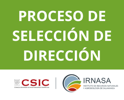 Selección de Dirección