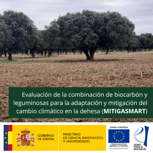 ADAPT-TGA: Nuevas tendencias en el manejo adaptativo de la dehesa: monitoreo, producción y secuestro de carbono en el suelo